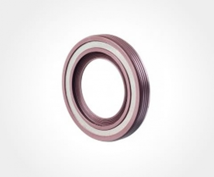 Retentor Especial Carca�a de A�o Inox